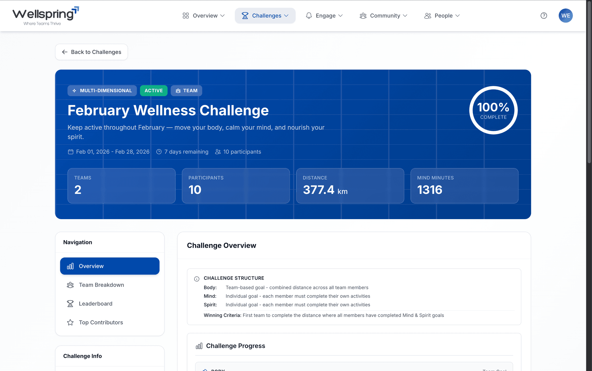 WellSpring Vision Hub challenge dashboard showing team progress and leaderboards